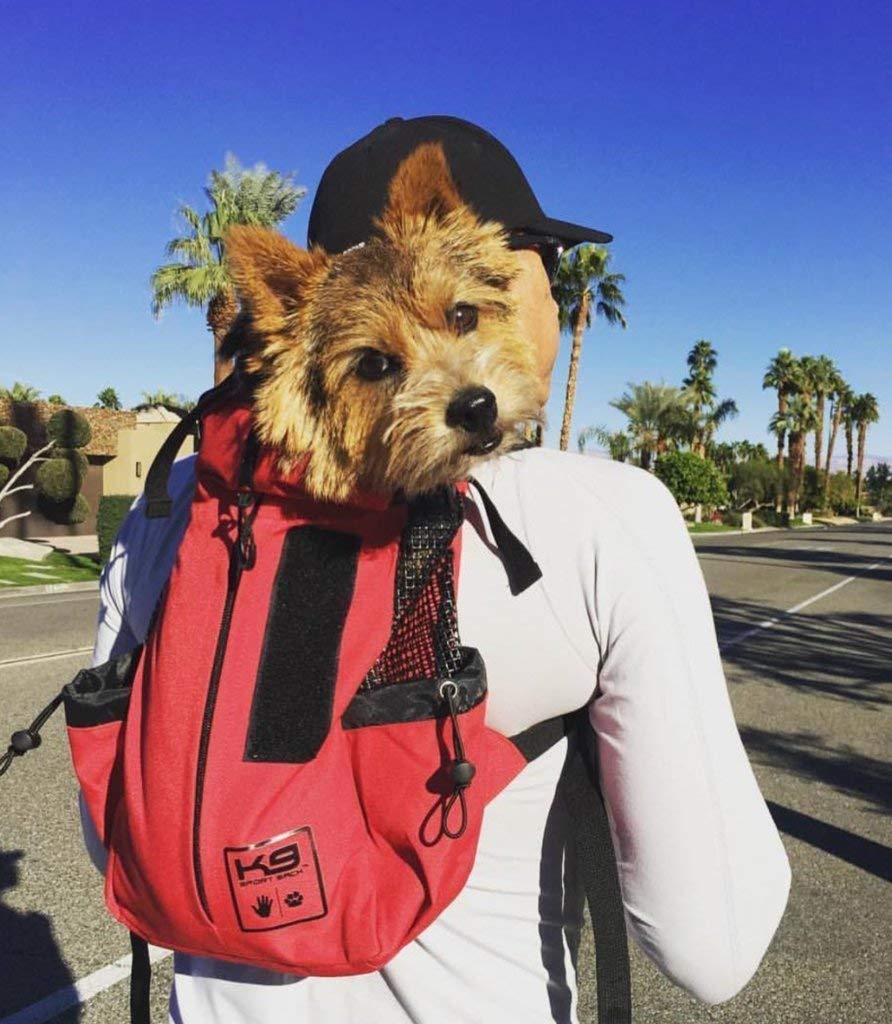 knapsack for dogs